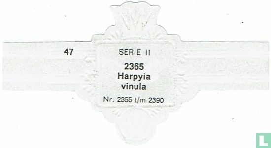 Harpyia vinula - Afbeelding 2