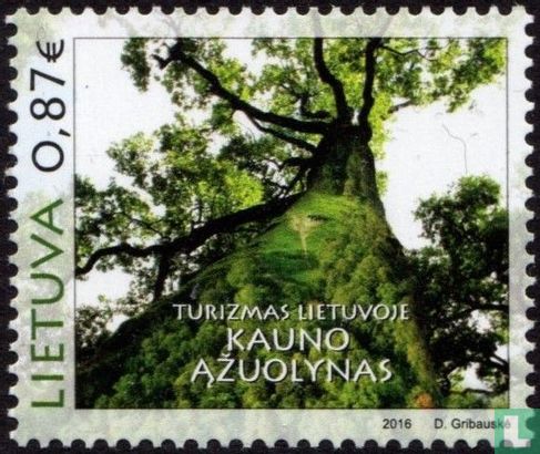 Oak forest of Kaunas