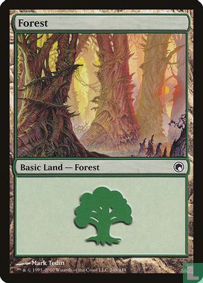 Forest - Afbeelding 1