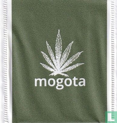 mogota - Image 1
