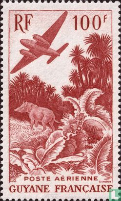Vliegtuig en tapir