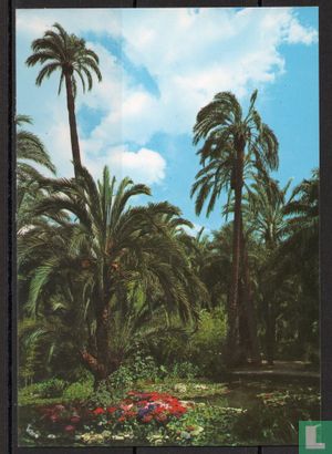 Elche Palmengarten