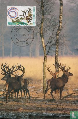50e anniversaire du parc national Hoge Veluwe - Image 1