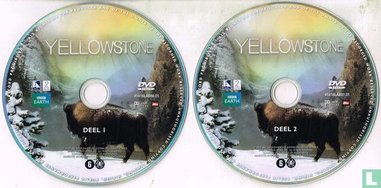Yellowstone - Afbeelding 3