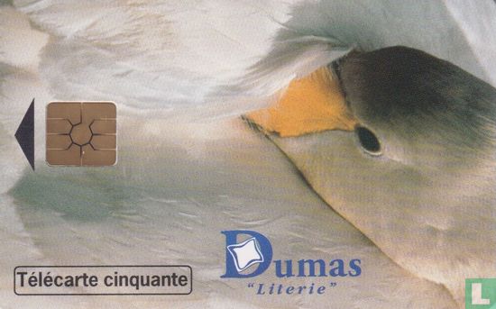 Dumas Literie - Afbeelding 1