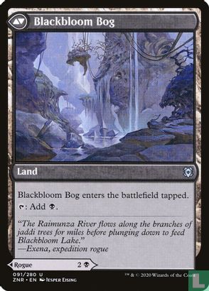Blackbloom Rogue / Blackbloom Bog - Image 2