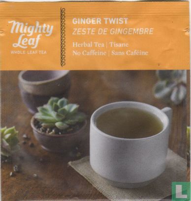Ginger Twist - Image 1