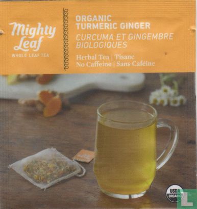 Organic Turmeric Ginger - Image 1