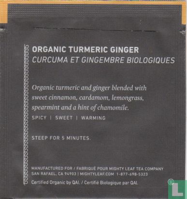 Organic Turmeric Ginger - Image 2