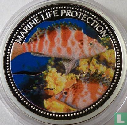 Palau 5 dollars 2006 (PROOF) "Marine Life Protection - Hogfish" - Afbeelding 2