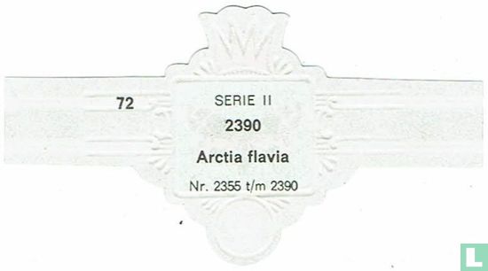 Arctia Flavia - Afbeelding 2