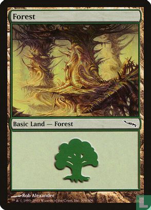 Forest - Bild 1