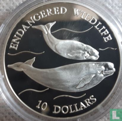 Niue 10 dollars 1992 (PROOF) "Whales" - Afbeelding 2