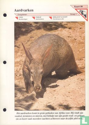 Aardvarken - Image 1