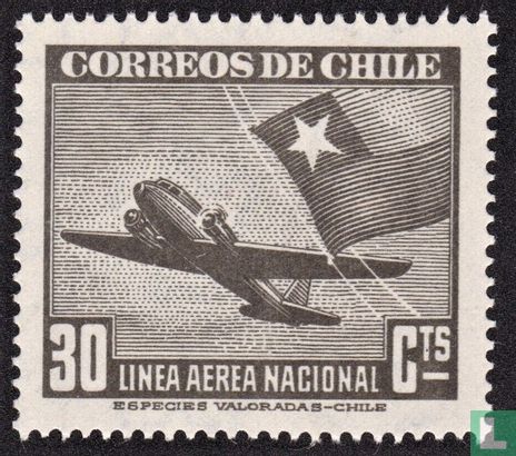Vliegtuig en Chileense vlag