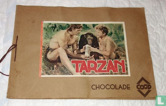 Nieuwe avonturen van Tarzan - Image 1