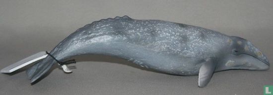 Gray Whale - Image 2