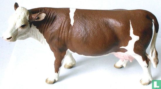 Simmental Koe - Afbeelding 1