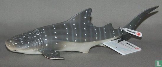 Whale Shark - Image 1