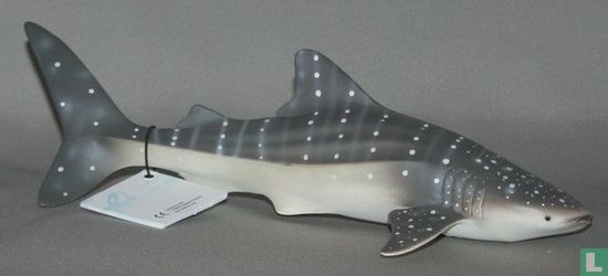 Whale Shark - Image 2