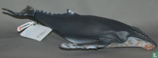 Baleine à bosse - Image 2