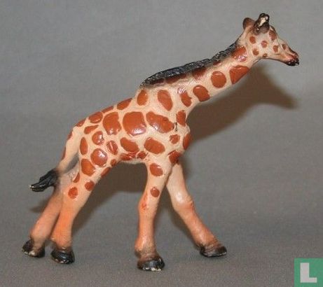 Giraffenkalb - Bild 2