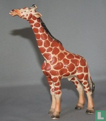 Giraf stier - Afbeelding 1