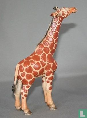 Giraf stier - Afbeelding 2