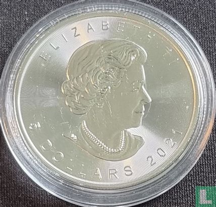 Canada 5 dollars 2021 (coloured) - Image 1
