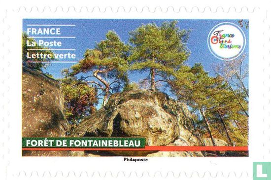 Fontainebleau-bos