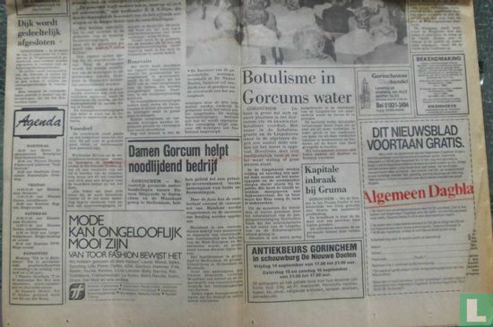 Nieuwsblad voor Gorinchem en omstreken 5241 - Afbeelding 2