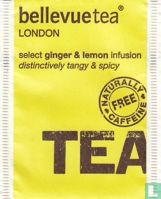 select ginger & lemon infusion - Afbeelding 1