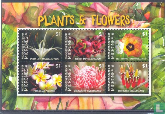 Plants and flowers