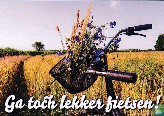 B210045 - Uitgeverij Elmar - Het Fietsdagboek "Ga toch lekker fietsen!" - Bild 1