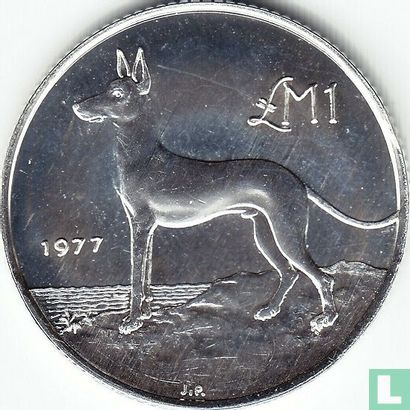 Malta 1 lira 1977 "Maltese hunting dog" - Afbeelding 1