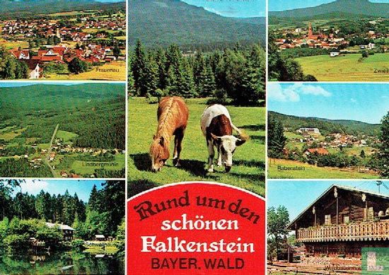 Rund um den schönen Falkenstein Bayer, Wald