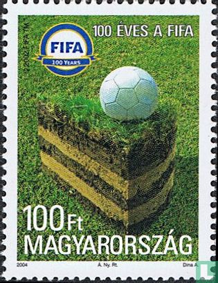 FIFA-Int. Fußballverband