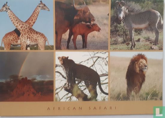 African safari 