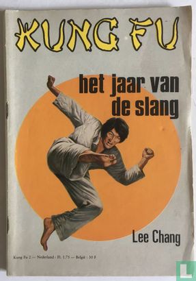 Kung Fu 2 - Afbeelding 1