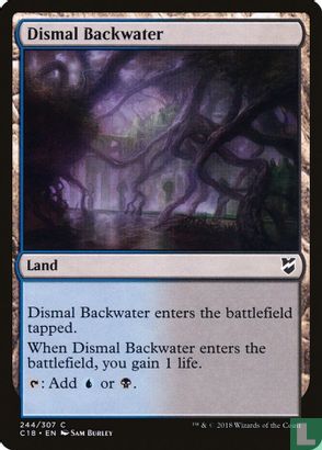 Dismal Backwater - Afbeelding 1