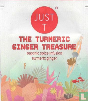 The Turmeric Ginger Treasure  - Image 1