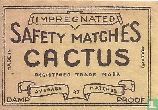 Safety Matches Cactus