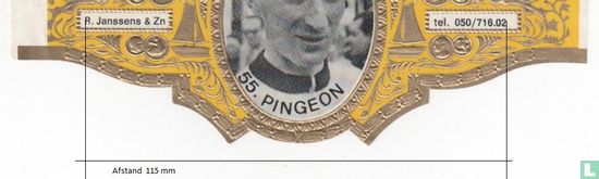 Pingeon - Afbeelding 3