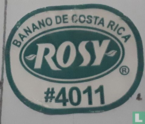 Rosy#4011 Costa Rica
