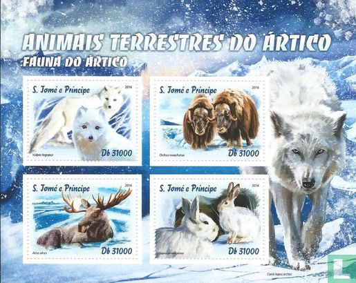 Fauna of arctic