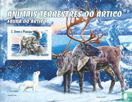 Fauna of arctic