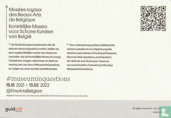 Koninklijke Musea voor Schone Kunsten van België - Rachel Labastie - Image 2