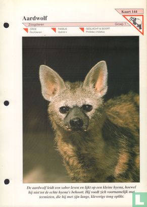 Aardwolf - Afbeelding 1