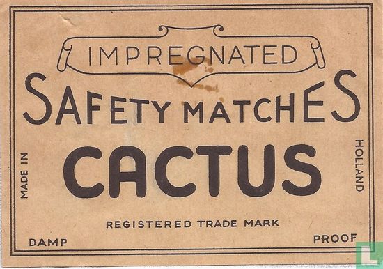 Safety Matches Cactus 