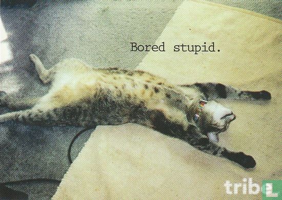 tribe.net "Bored stupid" - Image 1
